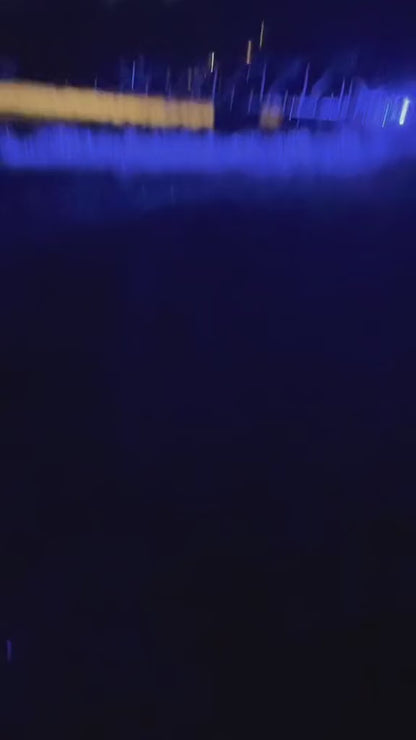 ULTRA BOOM SPRAYER NOZZLE LIGHTS